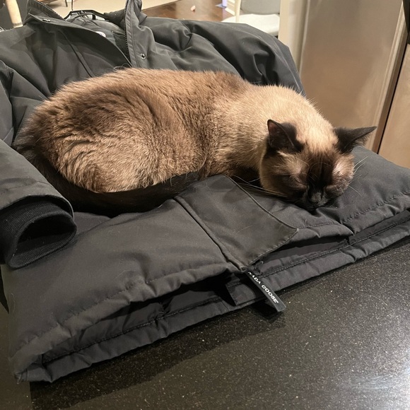 Canada Goose Victoria Parka size xs - Picture 9 of 10